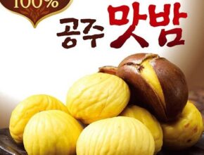 많이 구매하는 국산밤으로 만든 꿀맛 공주맛밤 50g  30봉 베스트상품
