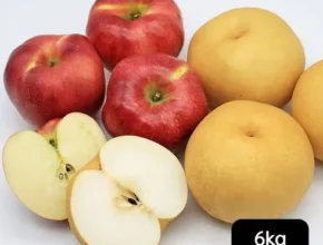 올해의 열매나무 못난이 사과배 세트 총 6kg  BEST5제품
