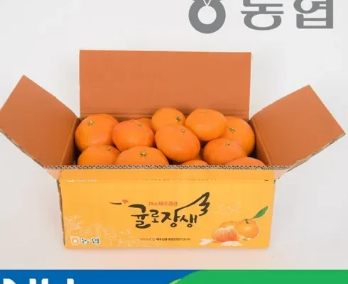 가성비 최고 제주 귤로장생 레드향 4kg 추천상품