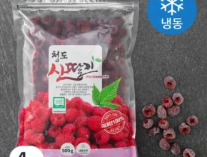 올해의 김해 산딸기 500g x 4팩  BEST5제품